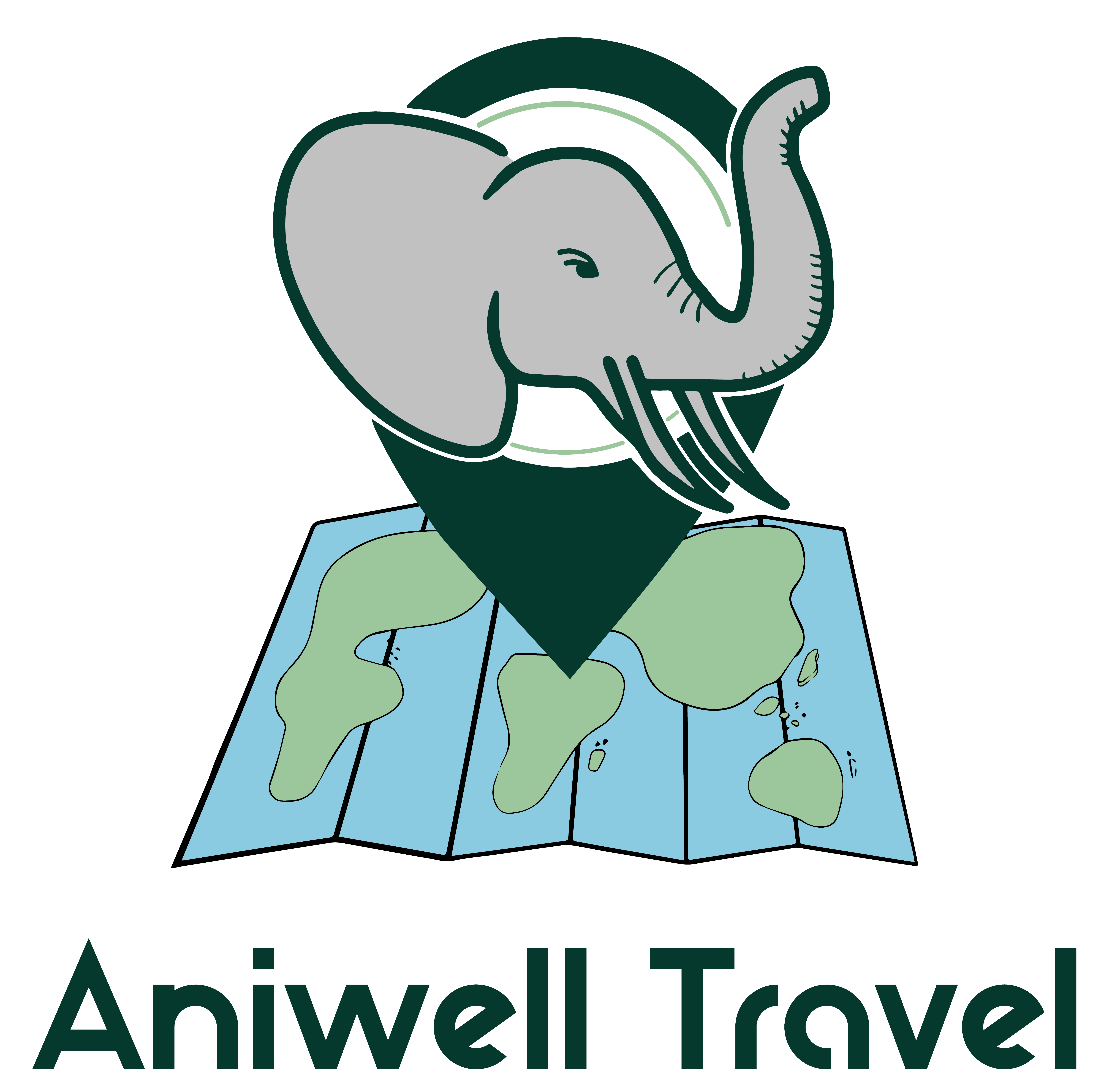 Aniwell Travel